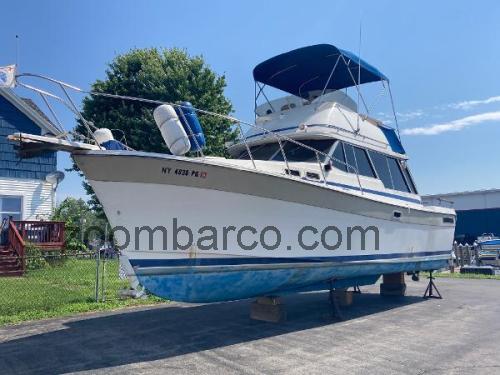 Bayliner 3270 Explorer ficha-técnica e avaliações